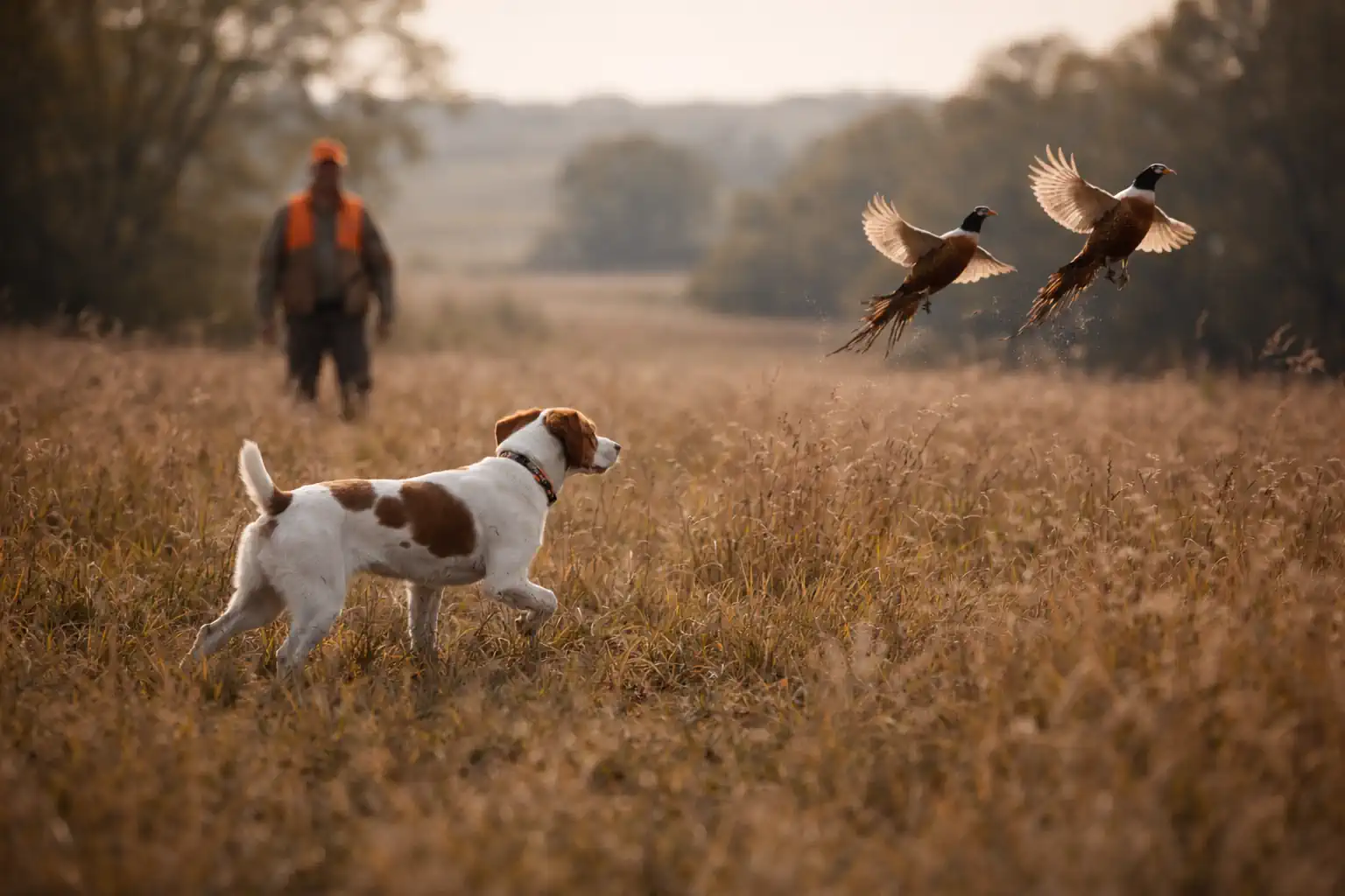 First Season Expectations