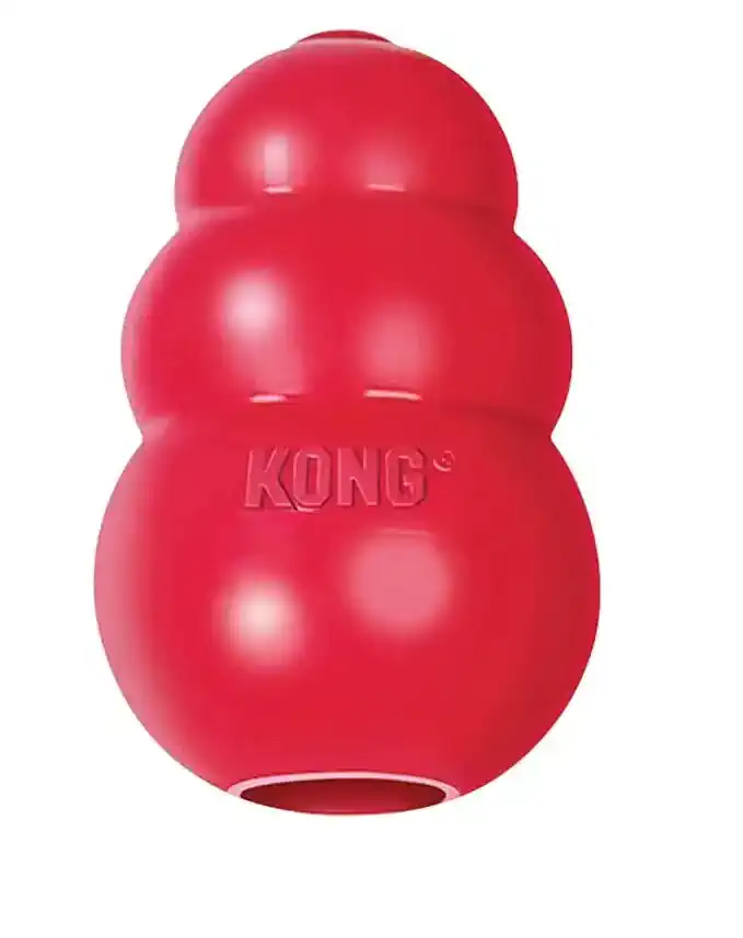 Kong reward toy